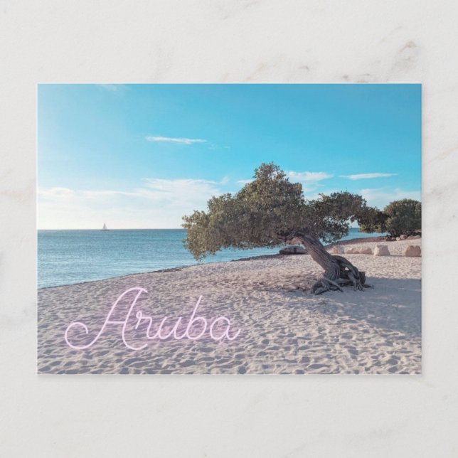 Carte postale Aruba (Devant)