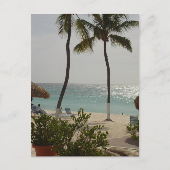 Carte Postale Aruba Baby Beach (Devant)