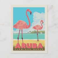 Aruba | Flamant rose Beach