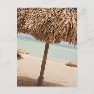 Carte Postale Aruba, palapa sur la plage