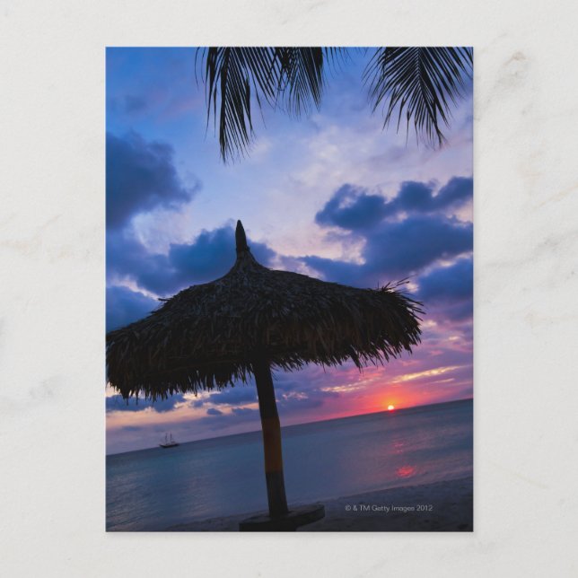 Carte Postale Aruba, silhouette de palapa sur la plage au couche (Devant)