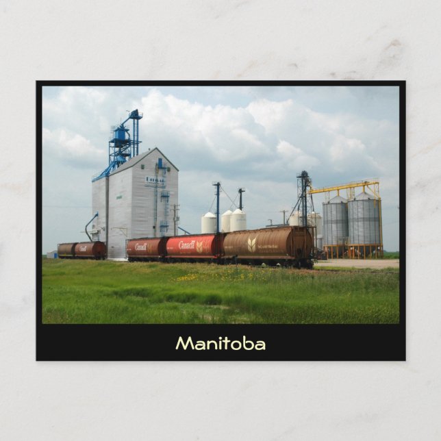 Carte Postale Ascenseur Western Grain (Devant)
