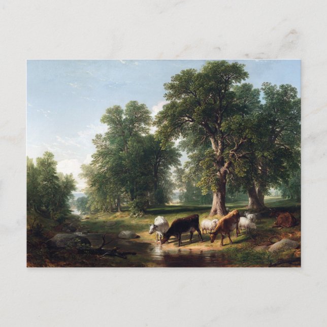 Carte Postale Asher Brown Durée et été après-midi (Devant)