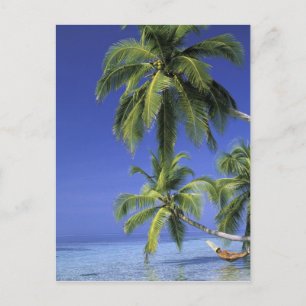 Carte Postale Asie, îles Maldives. Un homme en hamac sur