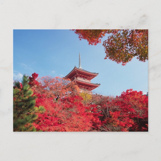 Carte Postale Asie, Japon, Kyoto. Couleur d'automne (Devant)