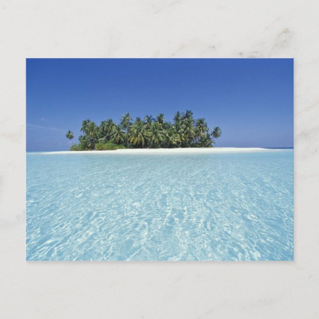 Carte Postale ASIE, Maldives, Atoll d'Ari, Inhabité (Devant)