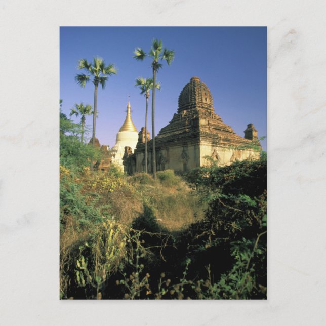 Carte Postale Asie, Myanmar, Bagan. Temple Kubyauk-Gyi. (Devant)