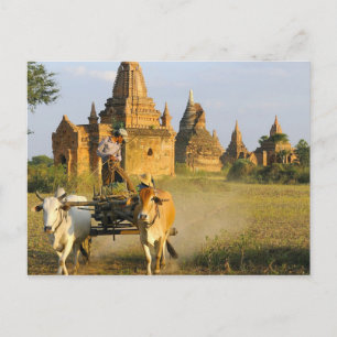 Carte Postale Asie, Myanmar (Birmanie), Bagan (païen). Un chario