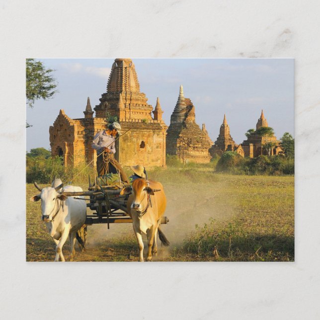 Carte Postale Asie, Myanmar (Birmanie), Bagan (païen). Un chario (Devant)