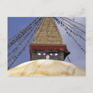 Carte Postale Asie, Népal, Katmandou. Stupa de Bouddhanath. 2