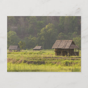 Carte Postale Asie, Thaïlande, Mae Hong Son, Cabanes de riz dans