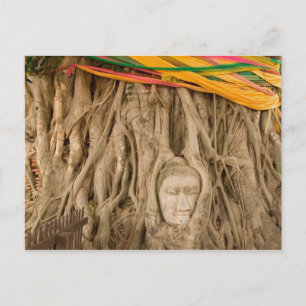 Carte Postale Asie, Thaïlande, Siam, Bouddha dans les ornières d