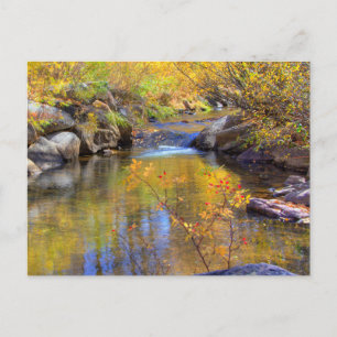 Carte Postale Aspen, Colorado Paysage du ruisseau d'automne
