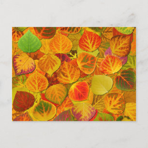 Carte Postale Aspen Feuilles Collage Solid Medley 1