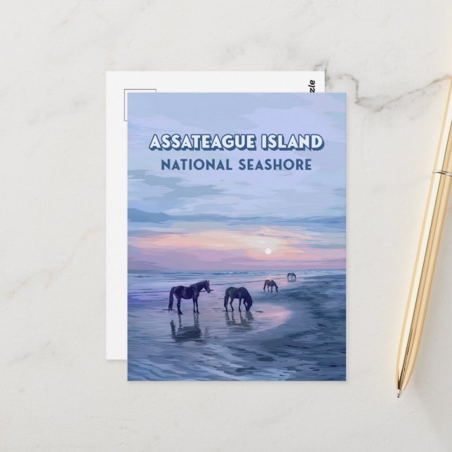 Carte Postale Assateague Island National Seashore Horaires Vinta (Devant/Arrière en situation)