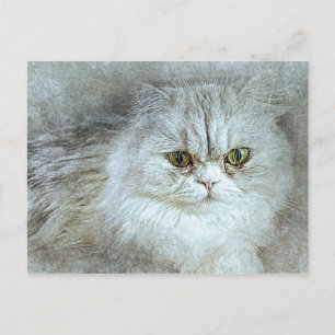 Carte Postale Assis Jolie Kitty ABSTRAIT Aquarelle