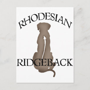 Carte Postale Assis Rhodesian Ridgeback avec texte