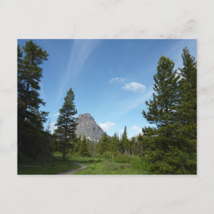 Carte Postale Aster Park Trail au parc national Glacier