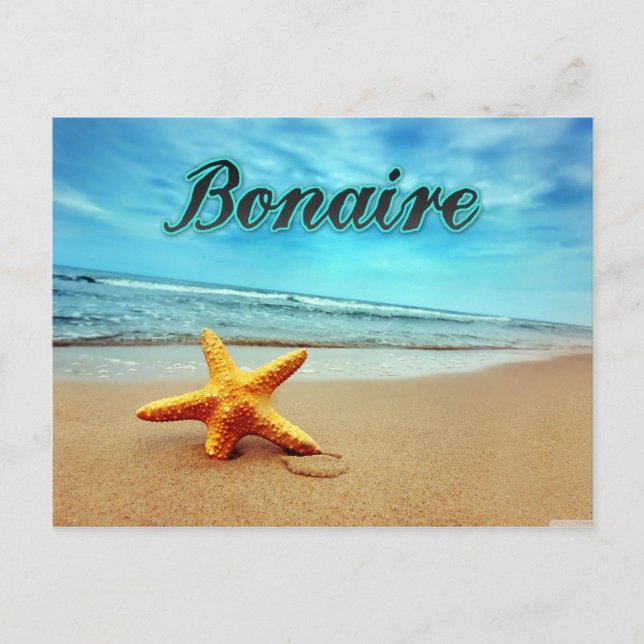 Carte Postale Astérie bonaire (Devant)