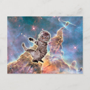 Carte Postale astronaute du chat gras