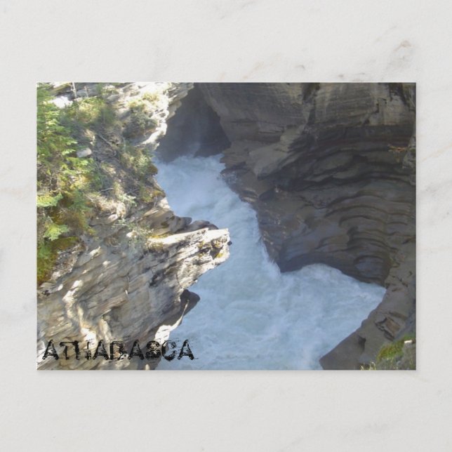 Carte Postale Athabasca tombe à travers le Canyon (Devant)