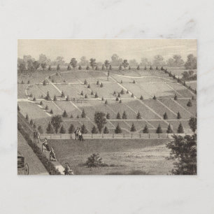 Carte Postale Atlantic View Cemeemetery, Squan Village, NJ