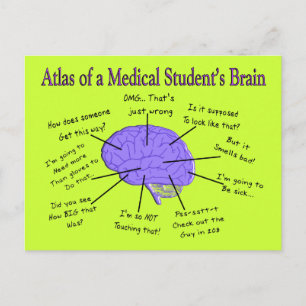 Carte Postale Atlas du cerveau d'un étudiant Médicale #2