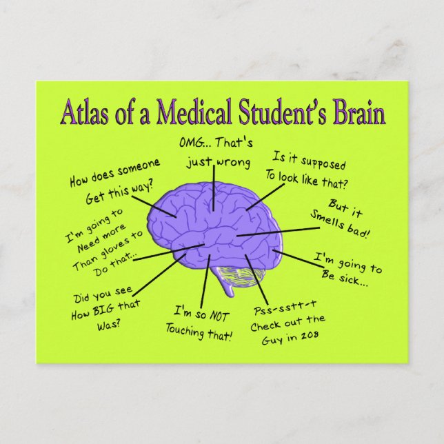 Carte Postale Atlas du cerveau d'un étudiant Médicale #2 (Devant)