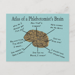 Carte Postale Atlas du cerveau d'un phlébotomiste