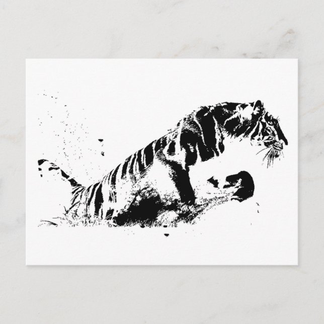 Carte Postale Attaque au tigre (Devant)