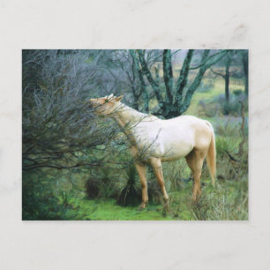 Carte Postale Atteindre haut pour dîner