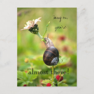 Carte Postale Attendez, vous êtes presque là ! Escargot motivant