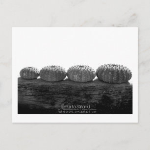 Carte Postale Attendre En Ligne