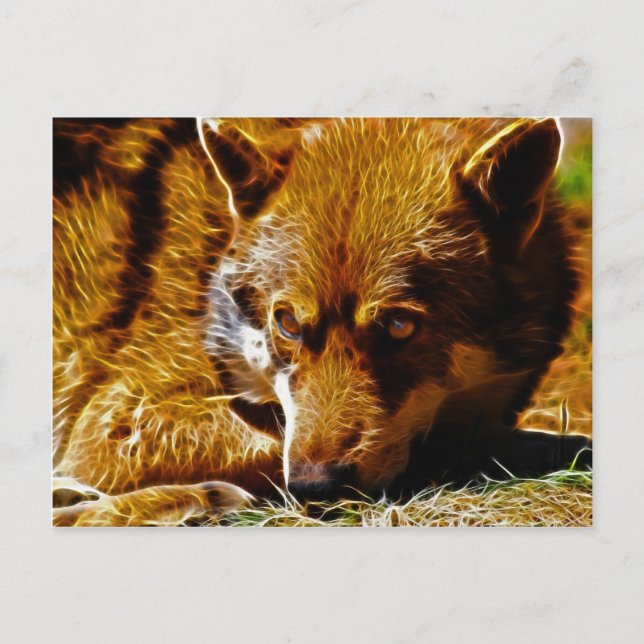 Carte Postale Attention (Devant)