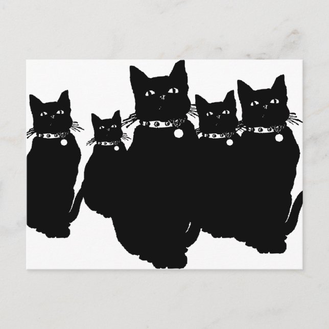 Carte Postale Attention au chat noir (Devant)