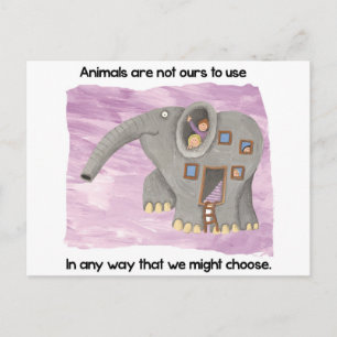 Carte Postale Attention aux animaux !