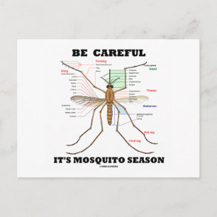 Carte Postale Attention c'est la saison des moustiques (Anatomie