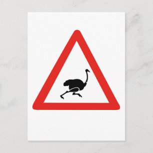 Carte Postale Attention Ostriches 1, Signal d'avertissement de t