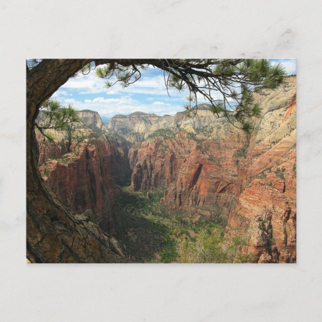 Carte Postale Atterrissage des anges (Devant)