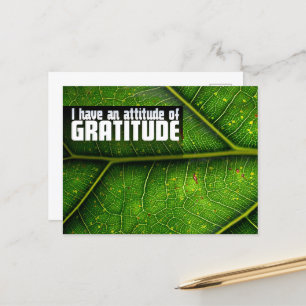 Carte Postale "Attitude de gratitude" Motivation Affirmation