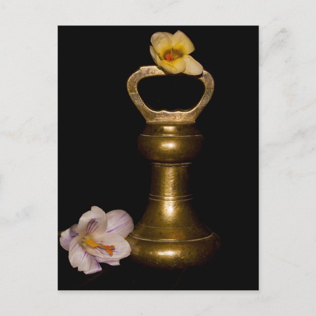 Carte Postale Attraction florale (Devant)