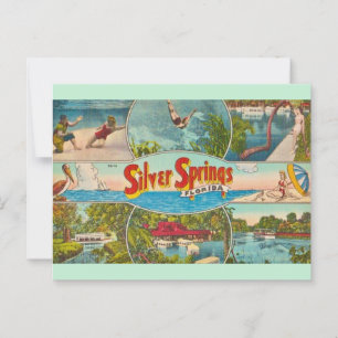 Carte Postale Attraction Vintage Silver Springs