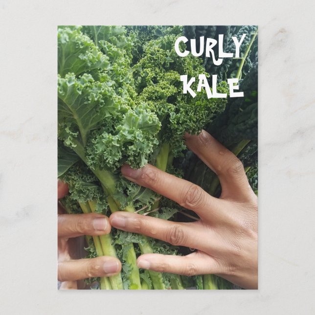 Carte Postale Attrapez un bouquet de boue Kale (Devant)