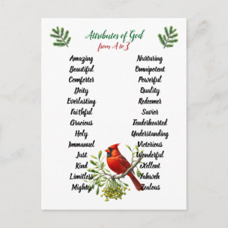 Carte Postale Attributs de Dieu Noël Oiseaux et Branches
