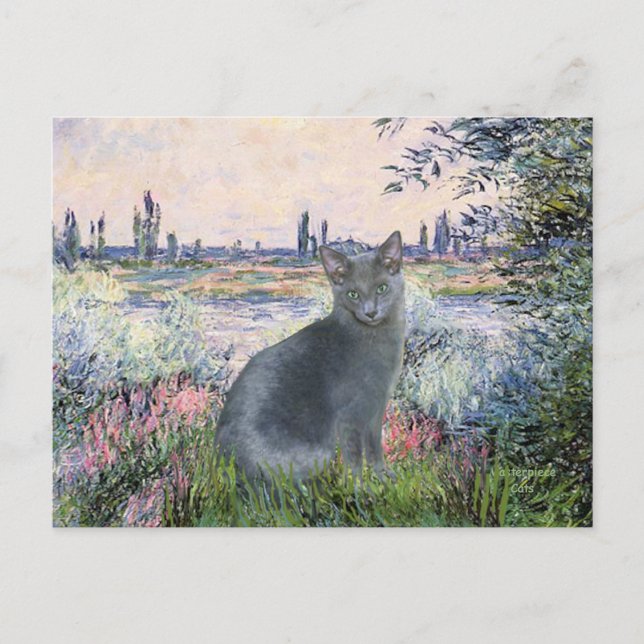 Carte Postale Au bord de la Seine - chat bleu russe 2 (Devant)