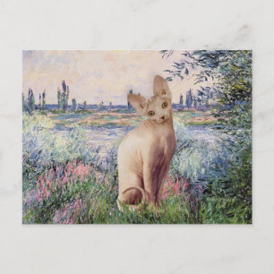 Carte Postale Au bord de la Seine - Chat Sphynx crème