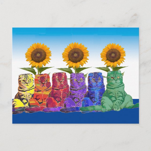 Carte Postale Au-dessus des Rainbow Cats (Devant)