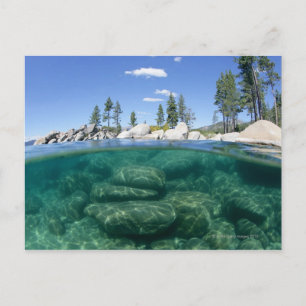 Carte Postale Au-dessus et au-dessous du lac Tahoe