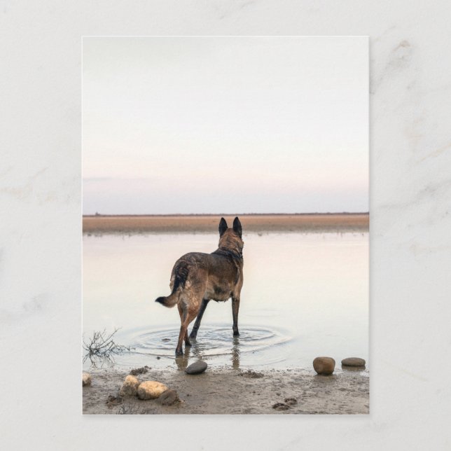 Carte Postale au loin (Devant)