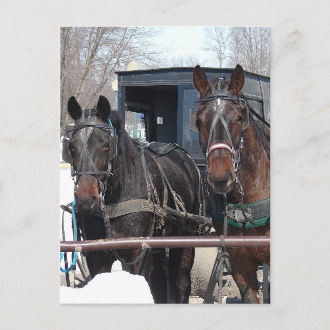 Carte Postale Au poste de tir (Devant)
